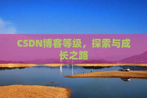 CSDN博客等级,探索与成长之路
